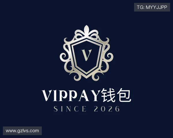 发现VipPay钱包